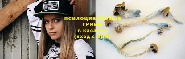 гидропоника Алзамай