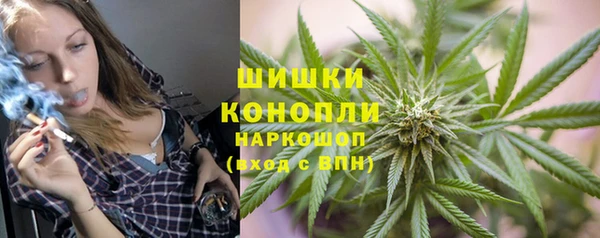 гидропоника Алзамай